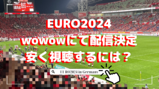 【安く視聴するには…】 EURO2024 wowowにて配信決定→Abemaで無料配信決定